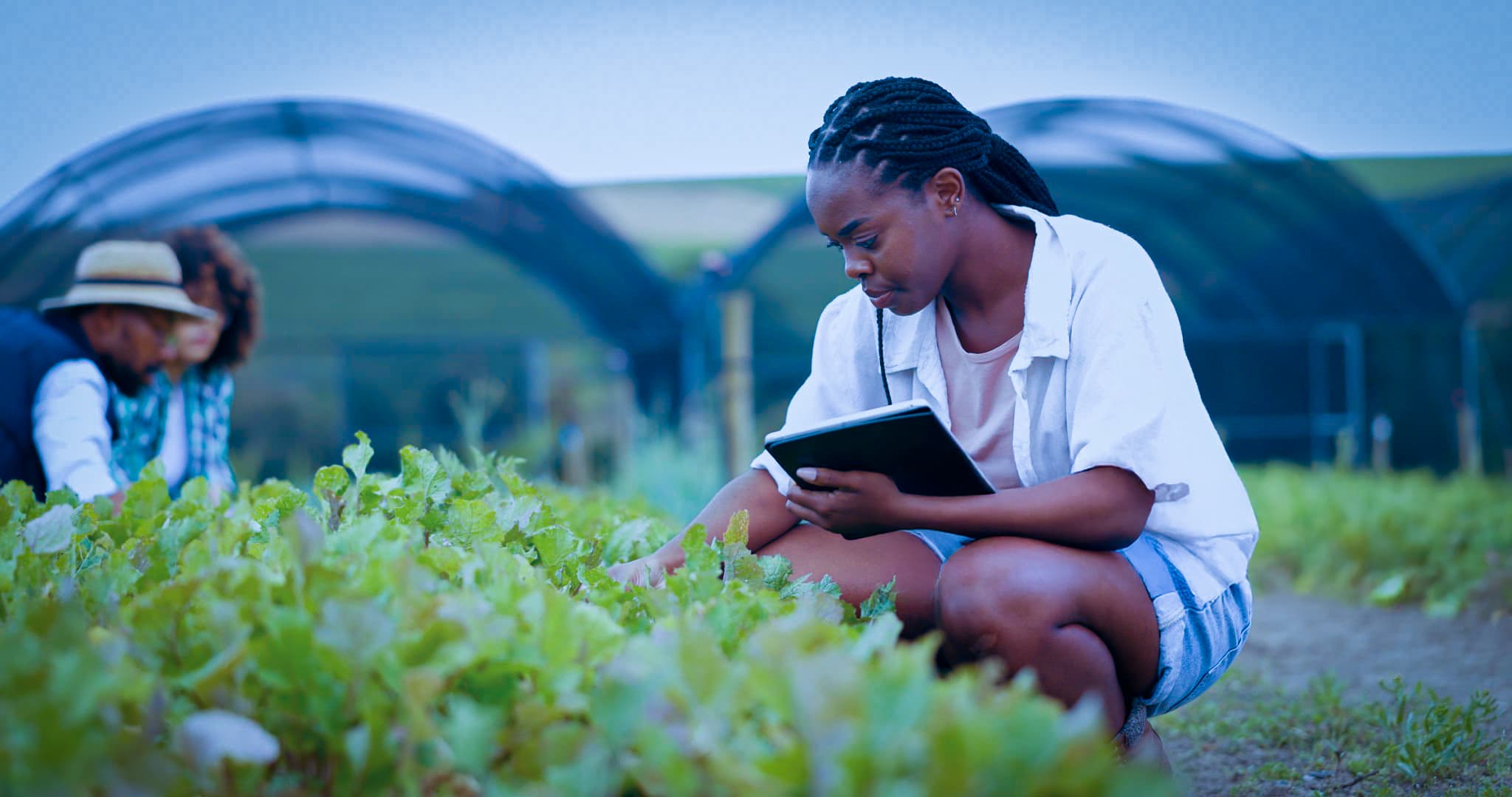 CSP Radnik u Srbiji kod poslodavca.